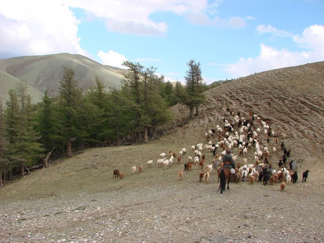 Nomade im Mongolischen Altai